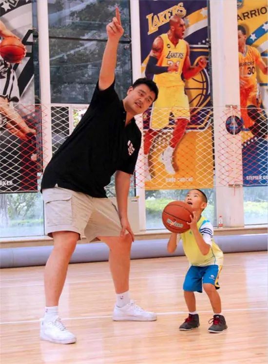 子网坛格局